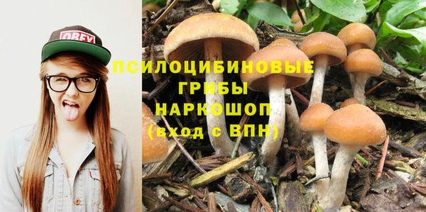 герыч Абаза
